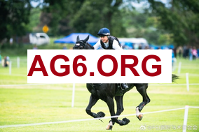 土超看点场次：贝西克塔斯 vs 阿兰亚体育